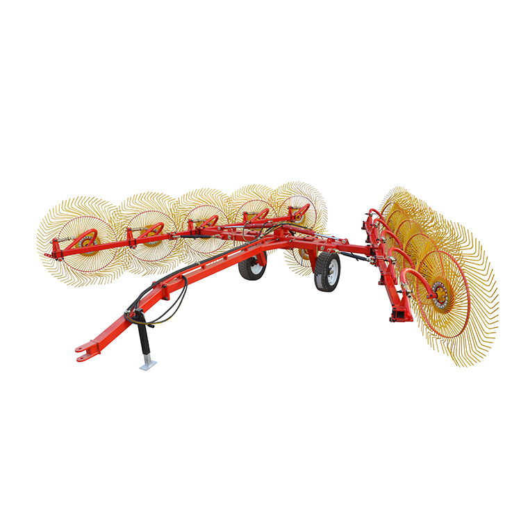 Belarra rake birakaria